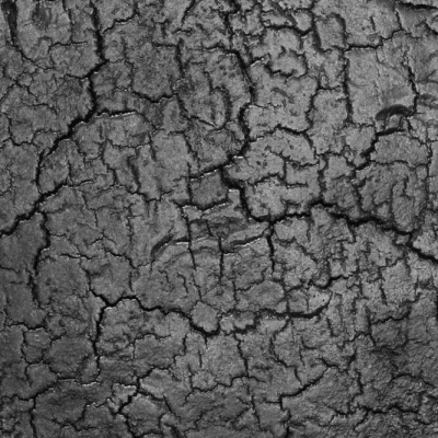 Stolik boczny TRIPTIC LAVA BLACK Ethnicraft - foto 5